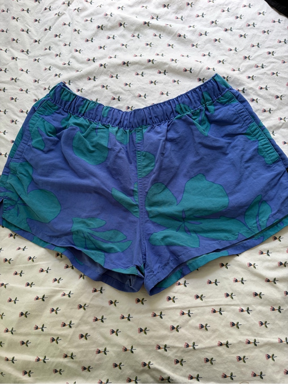 Women’s 2 inch Patagonia baggies